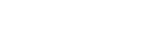ssb logo